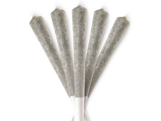 5x Preroll - Gelato 1g