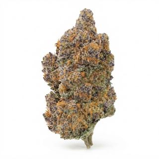 Orange Magic 5g