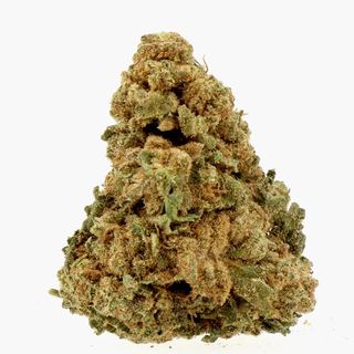 White Melon 5g