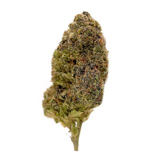 Snow 5G
