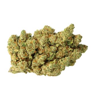 Amnesia 5G