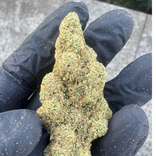 Cali Supreme 5g