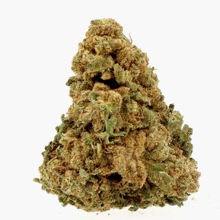 White Melon 10g