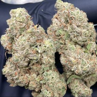 Northern Lights 2g