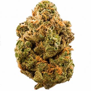 Skywalker 2g