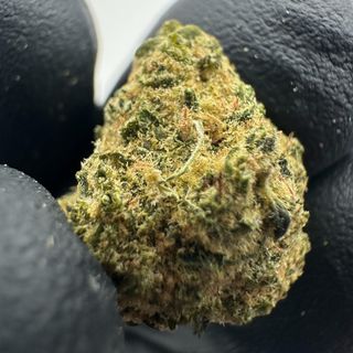 Cali Octane 2g