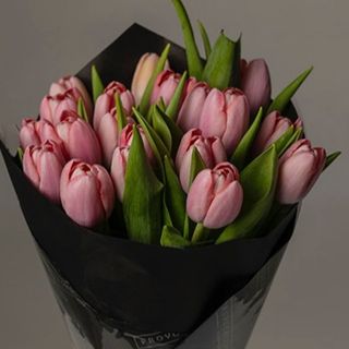 ramo 20 tulipanes rosa