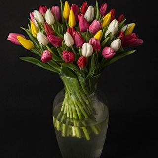 ramo 40 tulipanes
