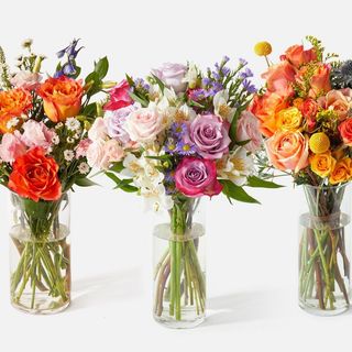 Ramo de Autor Simple