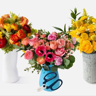 Ramo de Autor Triple