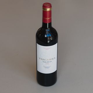 Vizcarra Senda del oro