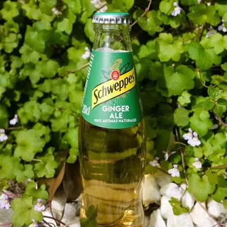Ginger Ale 200ml
