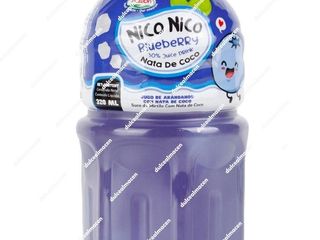 BEBIDA DE COCO ARRANDANOS