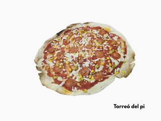 Torreó Del Pi