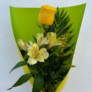 RAMO 1 ROSA + 1 ALSTROEMERIA