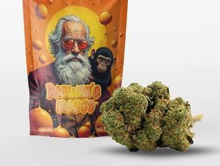 Darwin's Mango Arkano Cbd 2Gr