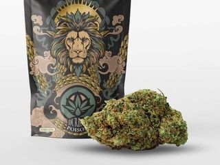 Durban Poison Arkano Cbd 10Gr