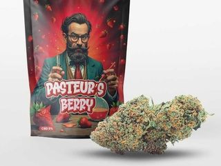 Pasteur'sBerry Arkano Cbd 10Gr
