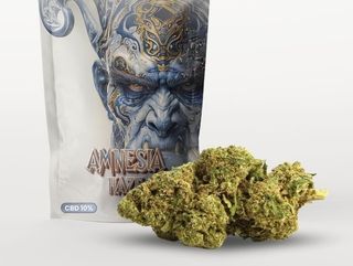 Amnesia Haze Arkano Cbd 510Gr