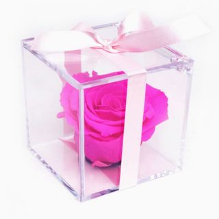 Rosa rosa en caja metacrilato