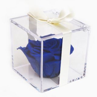 Rosa azul oscuro en caja metacrilato