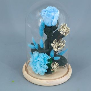 Cúpula rosa azul preservada