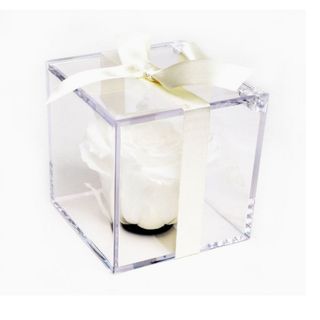 Rosa blanca en caja metacrilato
