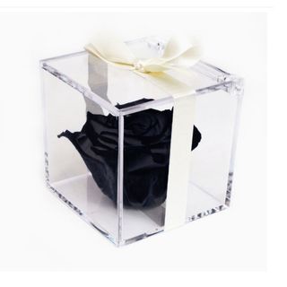Rosa negra en caja metacrilato