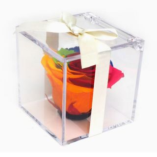 Rosa rainbow en caja metacrilato