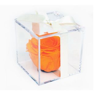 Rosa naranja en caja metacrilato