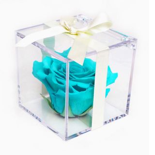 Rosa azul cielo en caja metacrilato