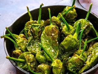 Pimientos del padron