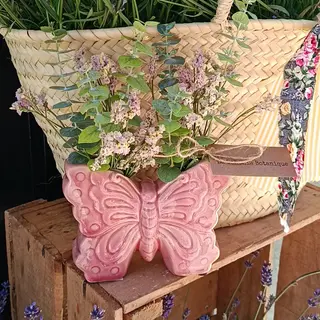 Mariposa