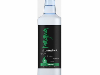 Agua Con Gas (500 Ml.)