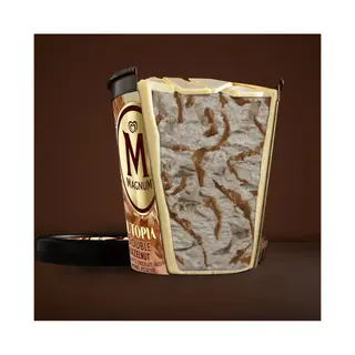 Magnum Tarrina Double Hazelnut