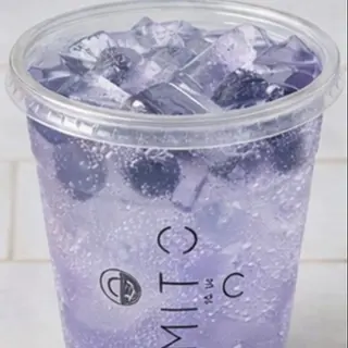 Agua natural de Arándanos