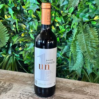 Ribera Del Duero