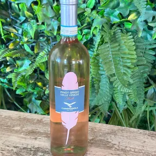 Pinot Grigio Blush
