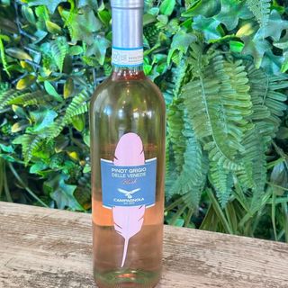 Pinot Grigio Blush