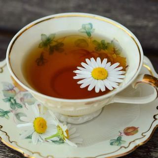 Menta poleo