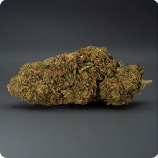 Limoncello x AK47 CBD 2g