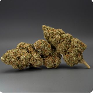 Cali Orange x Gelatto CBD 17% 1g