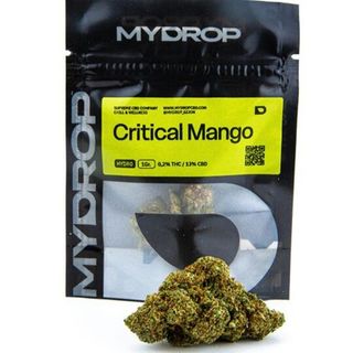 Critical Mango Hydro 5Gr.