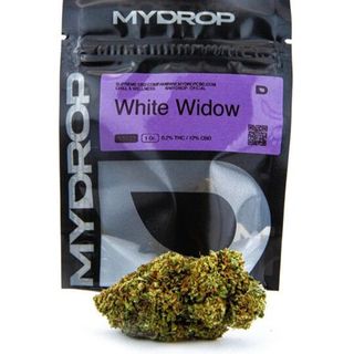 White Widow Glasshouse 5Gr.