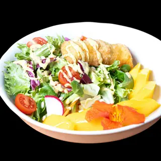 Ensalada de Mango