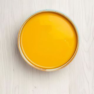 Salsa Brasil