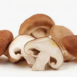 Funghi champignon Trifolati