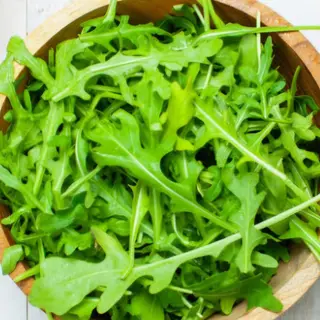 Rucola