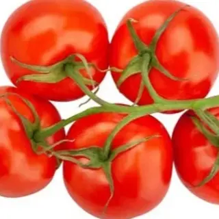 Pomodoro fresco a rondelle