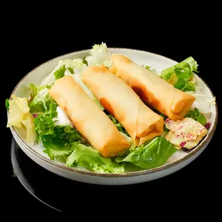 258 Rollito vegetal